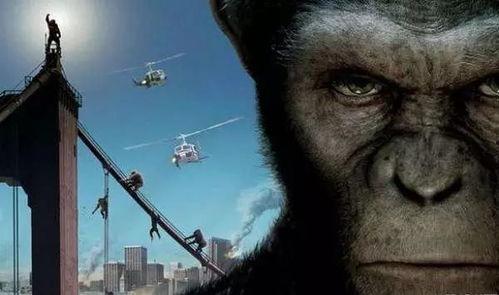 猩猿崛起在线观看,智勇逆袭，重铸家园传奇  第3张