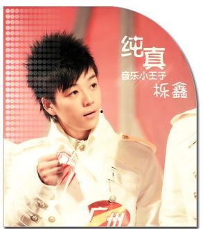 娱乐爆料王栎鑫视频播放,回忆杀来袭! 第2张 娱乐爆料王栎鑫视频播放,回忆杀来袭! 第2张